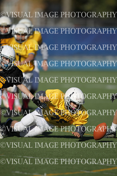 WSJFB_13_1028