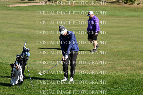 ILGF_24_IND10037