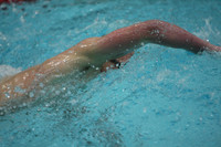 wisw10_5free_2012