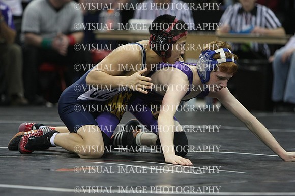 wiwr10_112_s2014