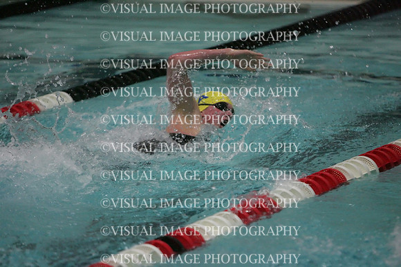 wisw09_2free_2038