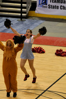 TDIHS12_POM_14007