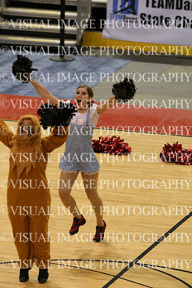 TDIHS12_POM_14007