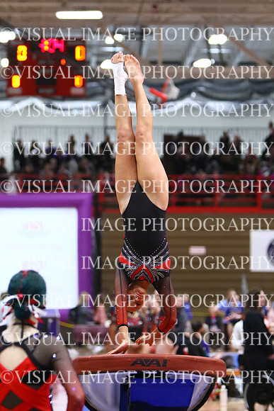WIGYMG25_VAULT_T029