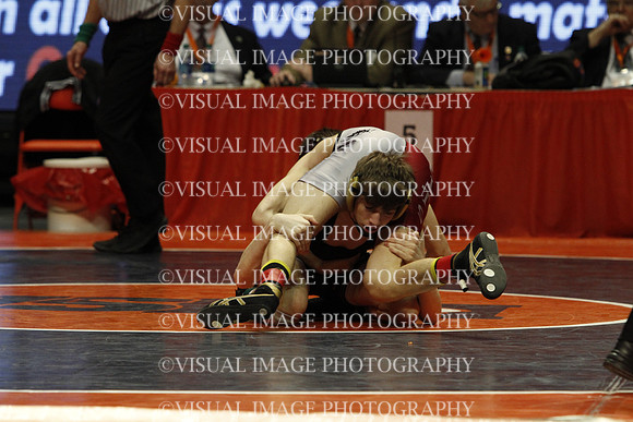ILIWR16_113_52010