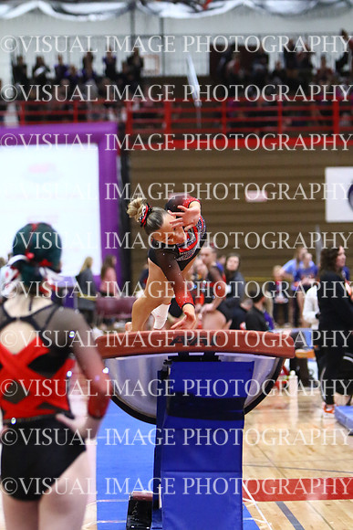 WIGYMG25_VAULT_T026
