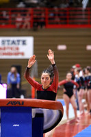 WIGYMG25_VAULT_T010