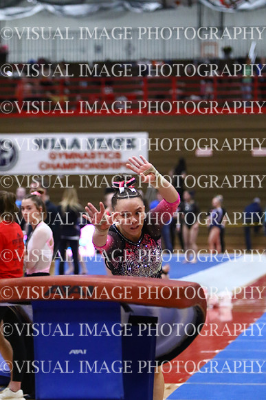 WIGYMG25_VAULT_I025