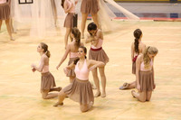 TDIHS14_WINTERGUARD_04018