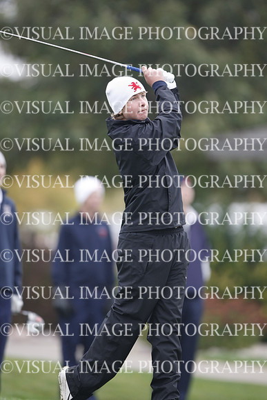 ILGF_13_T311010