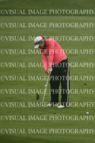 WIGFG_13_IND2080