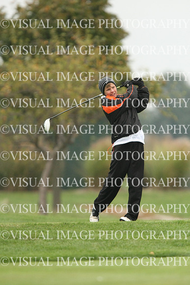 ILGF_13_T102014