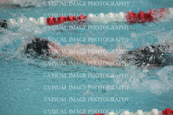 wisw10_2med_2008
