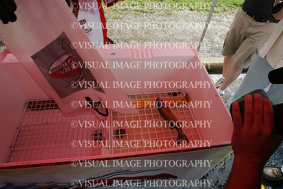 ilbass_09_w1033