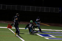 2nd3rd Flag Black v Green