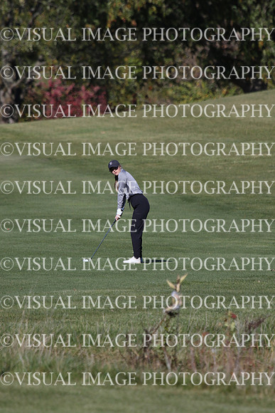 ILGFG_24_IND10031