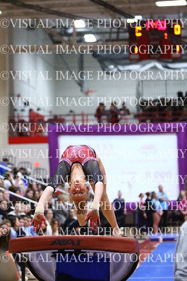 WIGYMG25_VAULT_I040