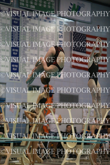 ILSWG13_DIVE_037