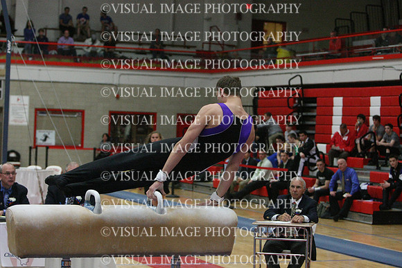 ILGYM14_PHORSE_I038