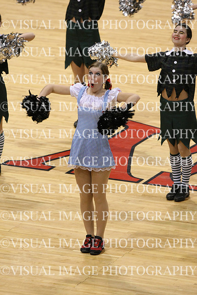TDIHS12_POM_14025