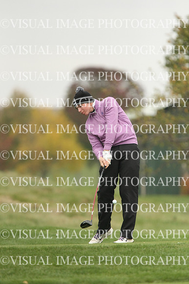 ILGF_13_T106001