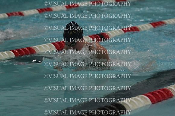 wiswg09_1breast_1006
