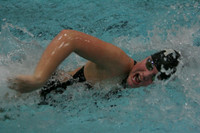 wiswg09_2frelay_2012