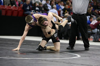 wiwr10_130_c2014