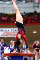 WIGYMG25_VAULT_T008