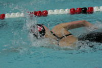 wiswg09_4frelay_2010