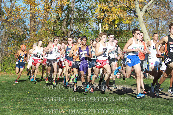 ILXC_14_30017