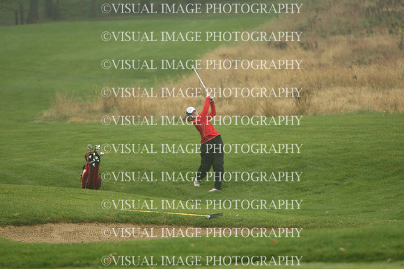 WIGFG_13_T106020