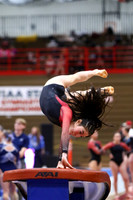 WIGYMG25_VAULT_T014