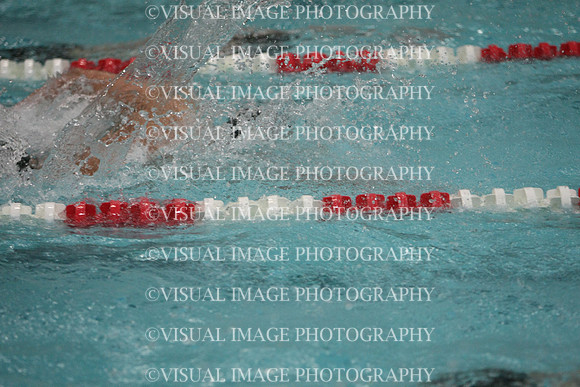 wisw10_50free_1024
