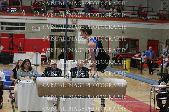 ILGYM14_PHORSE_I024