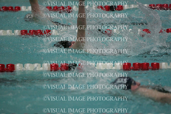 wisw09_2imed_1018