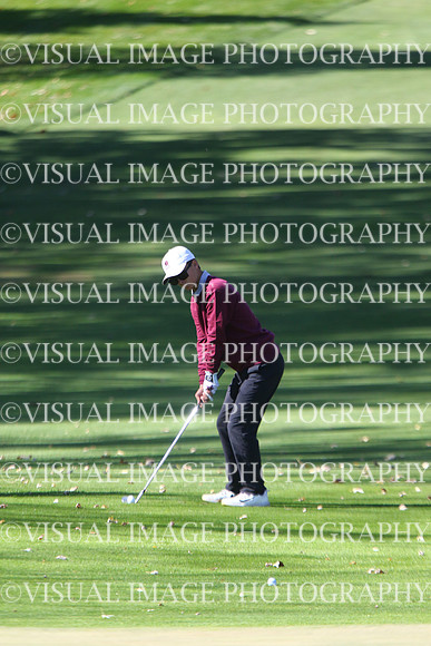 ILGF_24_T201032