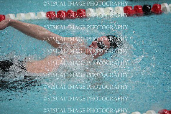 wisw10_2med_2011