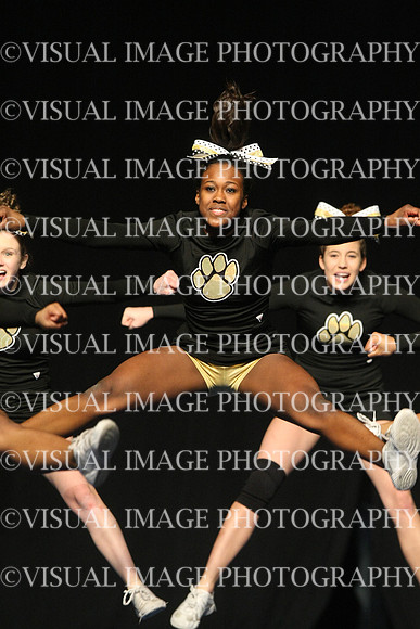 ILCHEER_11_M18022