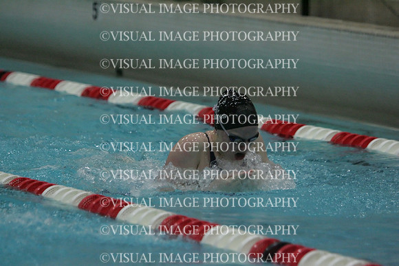 wiswg09_1breast_1016