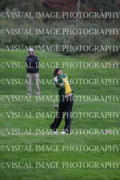 wigfg_09_ind2006