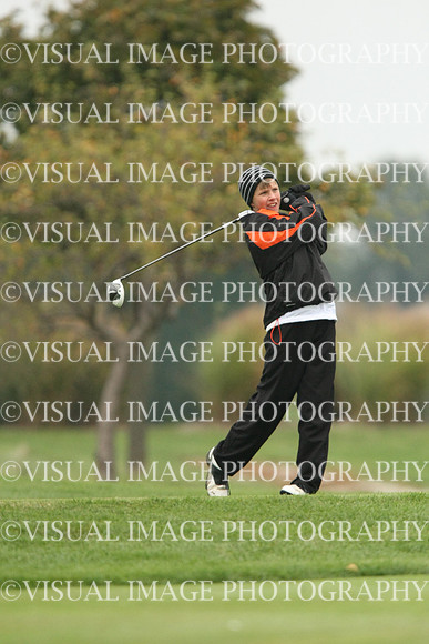 ILGF_13_T102017