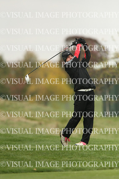 ILGF_13_T107012