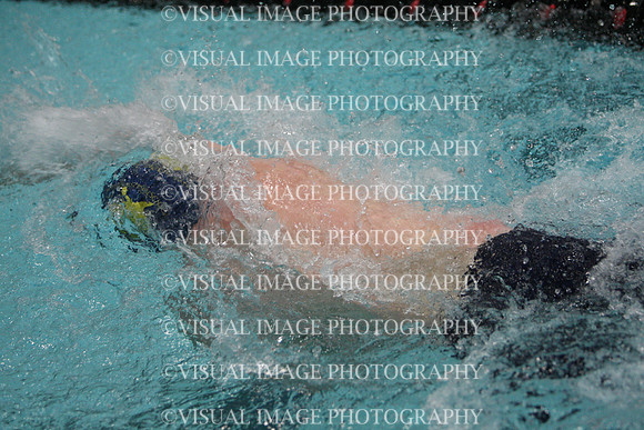 wisw10_2med_2010