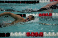 500 freestyle