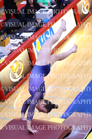 ILGYMG25_VAULT_P0012