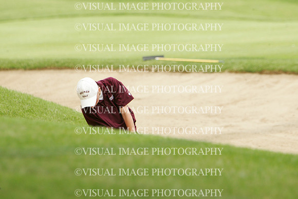wigf_09_t108032