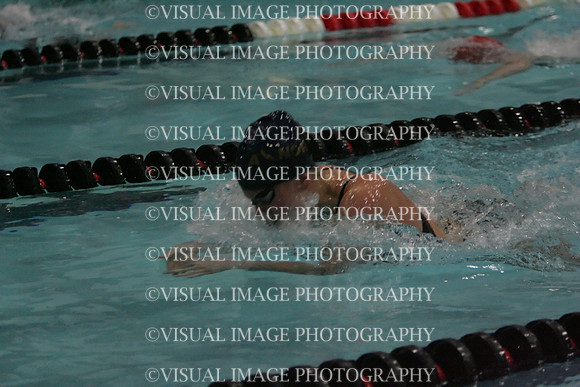 wiswg09_1breast_1022