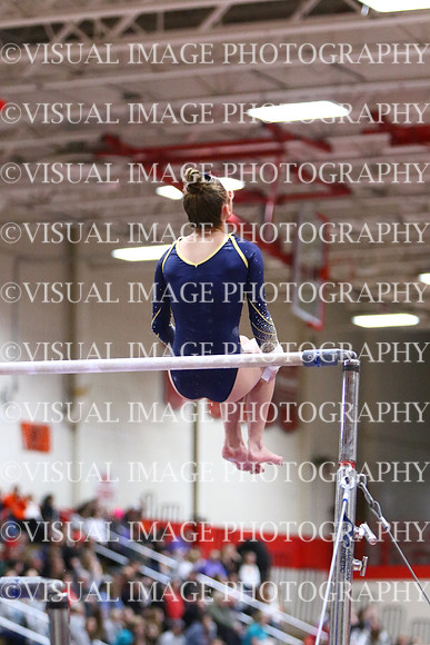 WIGYMG25_BARS_T026