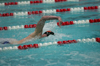 wisw09_2free_2012